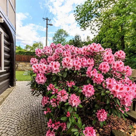 Arnoltice 10 By Interhome * Arnoltice u Decina